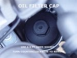 Automotive tire Plant Camera lens Flash photography Camera accessory